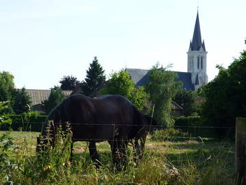 Chambre À Louer Bouvines 101447