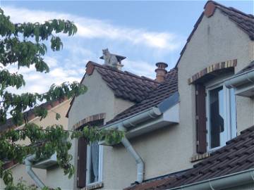 Chambre À Louer Villepreux 333903