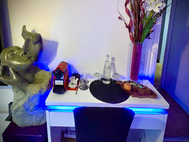 Homestay Genève 411349-2