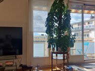 Coliving Lausanne 441014-3