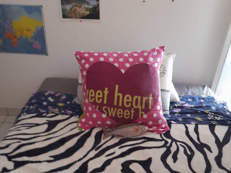 Homestay Perpignan 367897-1