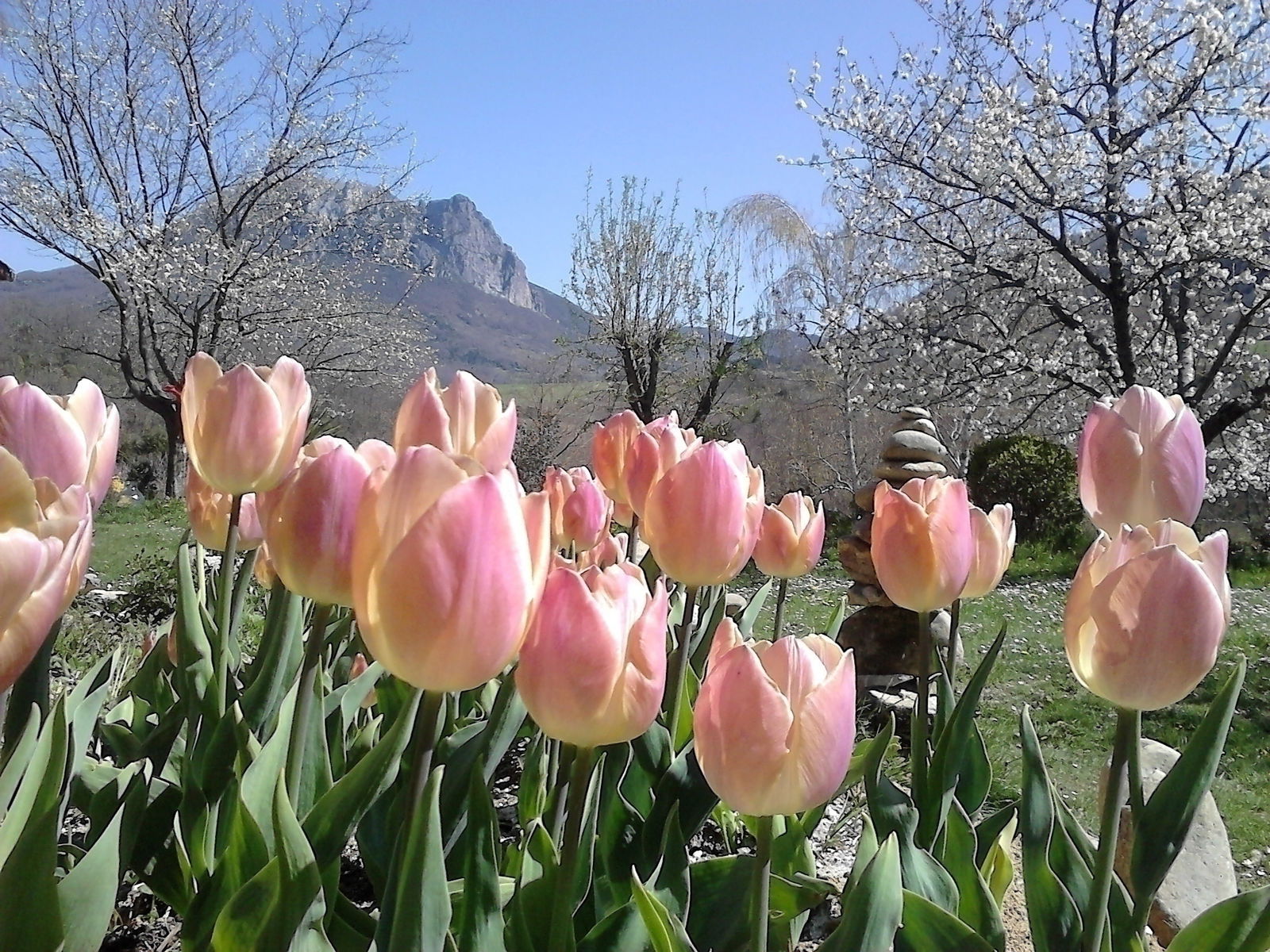 Gastgezin Bugarach 104314