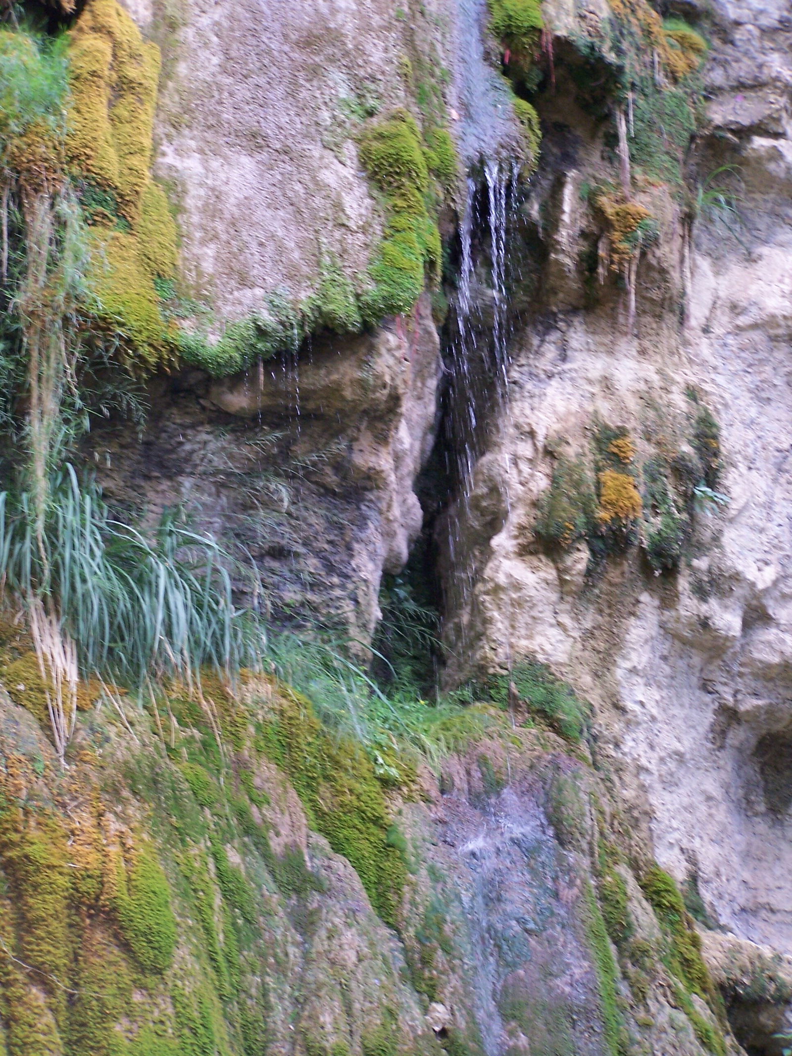 Gastgezin Bugarach 104314