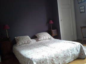 Room For Rent In The Heart Of Lyon