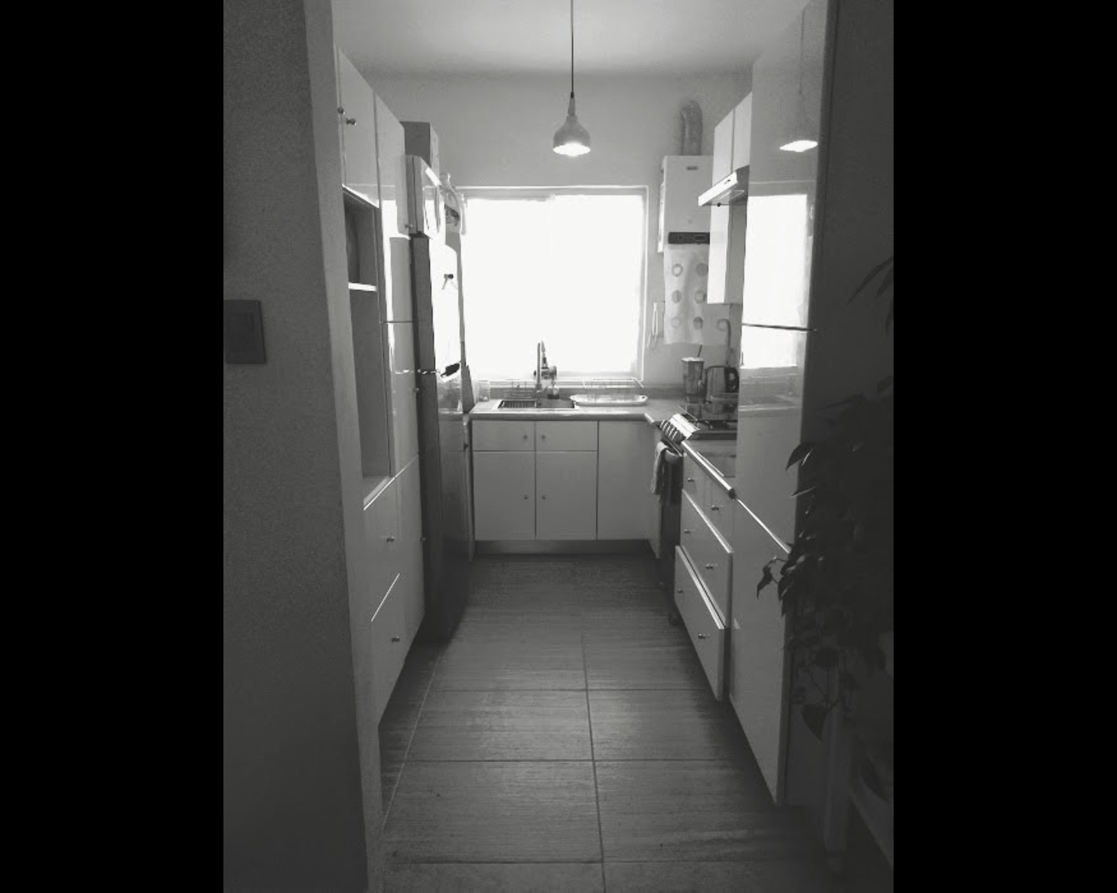 Hjemmeophold México D.F. 265592