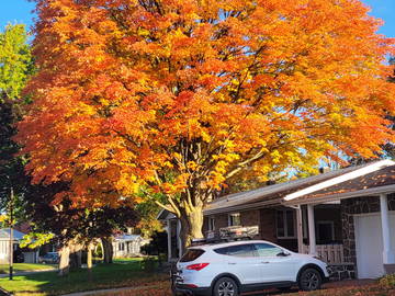 Gastfamilie Trois-Rivières 258639-11