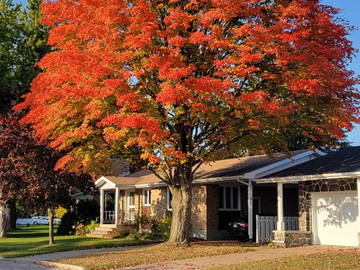 Gastfamilie Trois-Rivières 258639-9