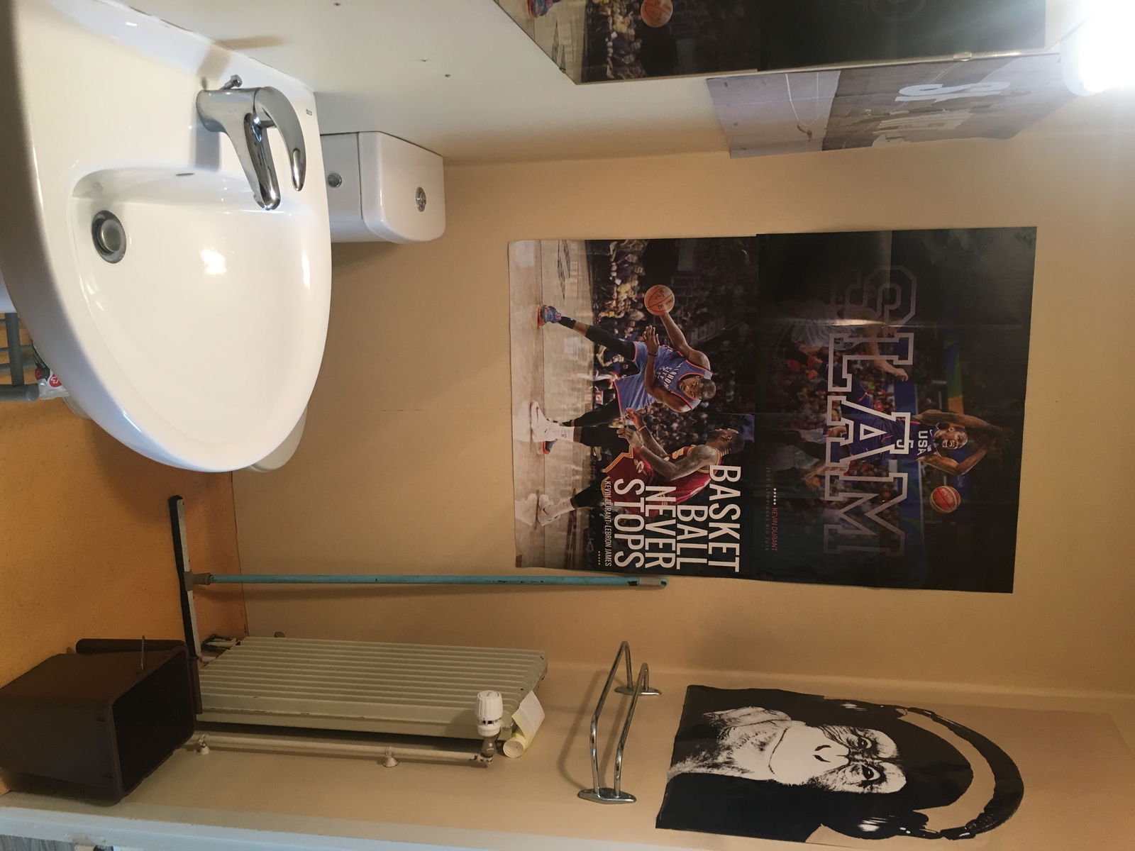 Chambre Chez L'habitant Rives 175402