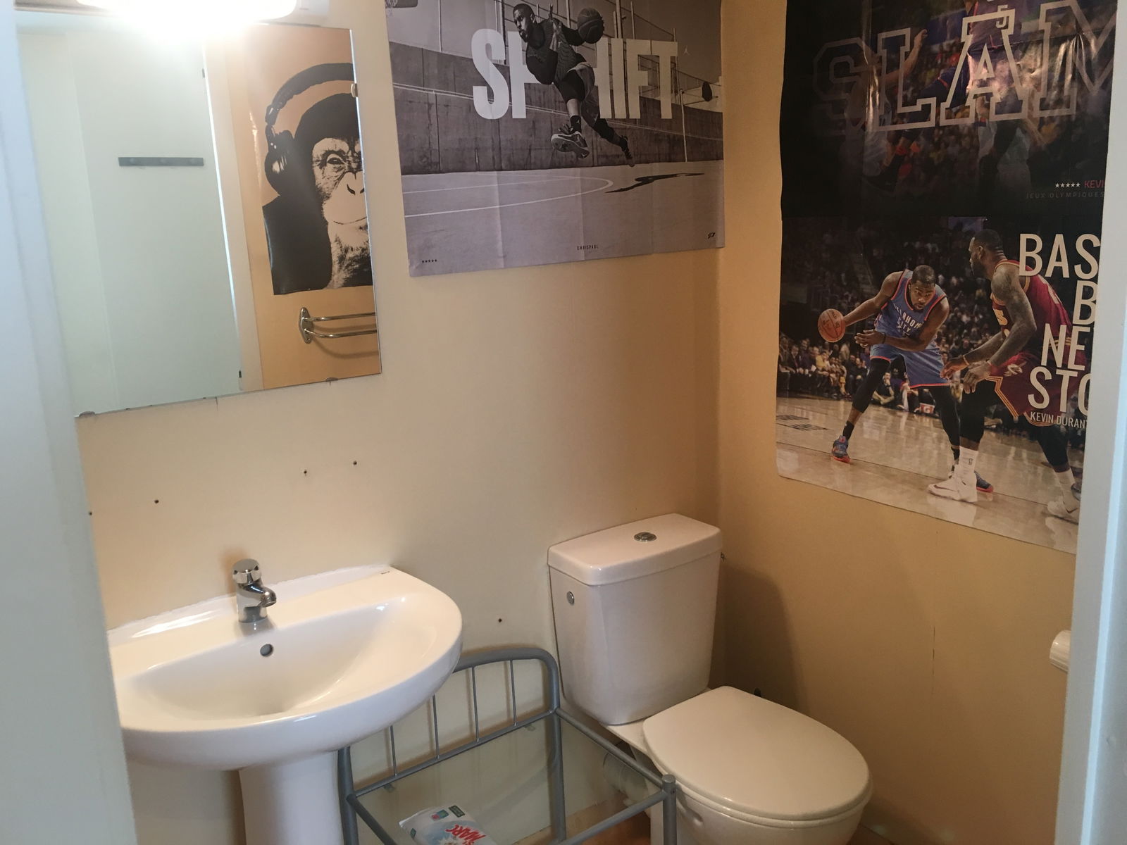 Chambre Chez L'habitant Rives 175402