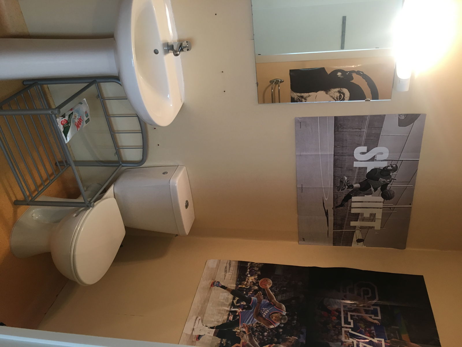 Chambre Chez L'habitant Rives 175402