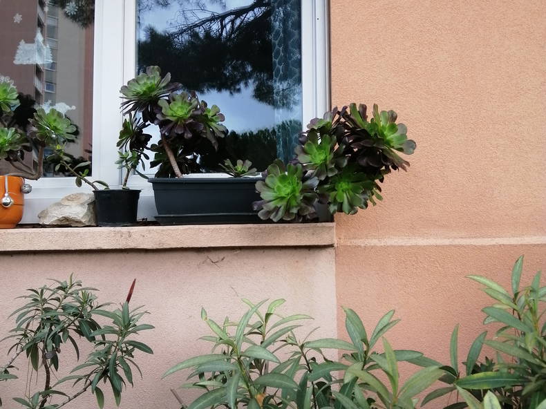 Kolokation Salon-de-Provence 539930-5