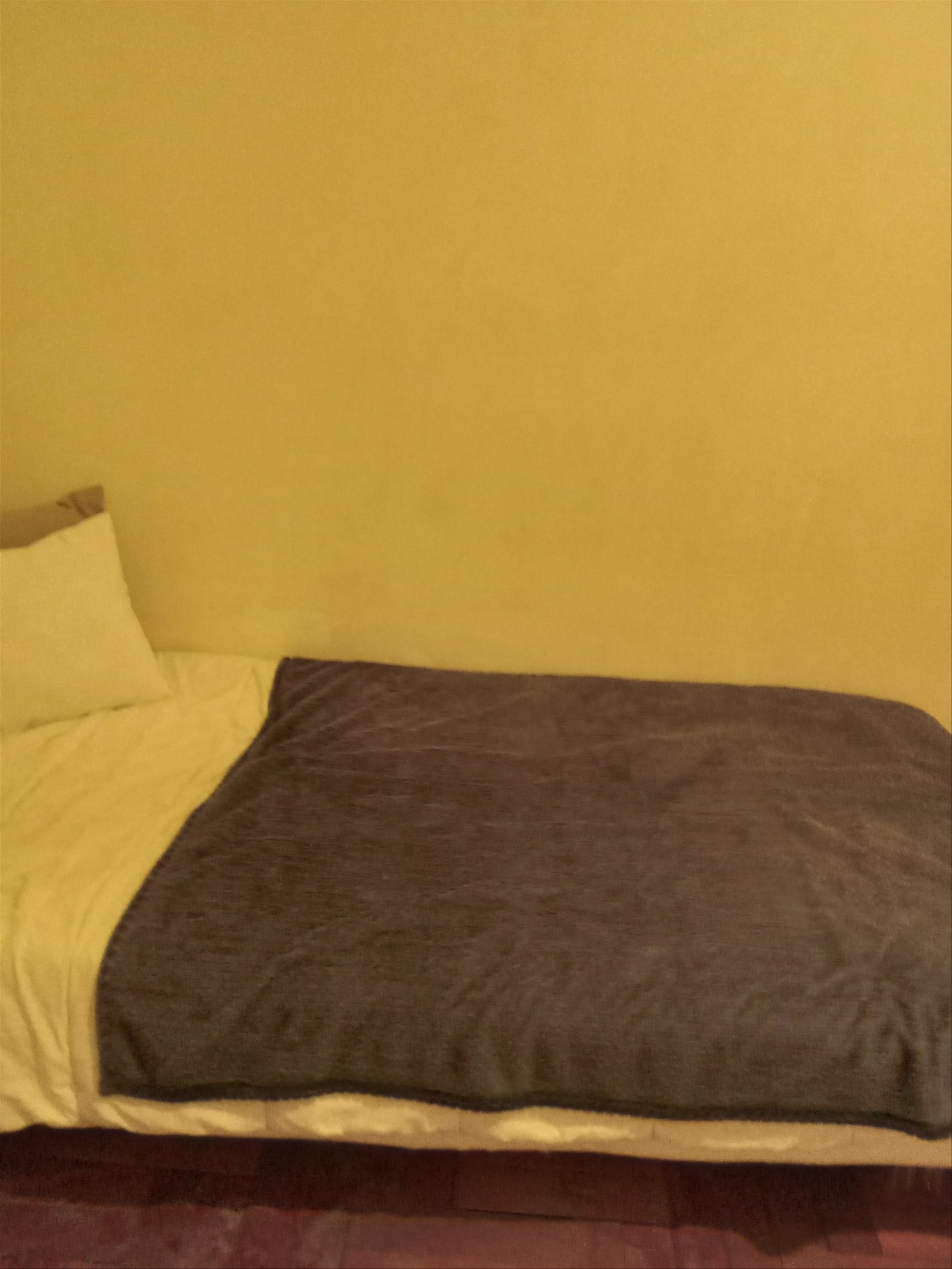 Chambre Chez L'habitant Nice 266077