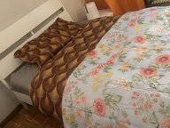 Chambre chez l'habitant à louer à Neuchâtel - photo 11 : chambre-11
