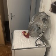 Homestay Neuchâtel 361629