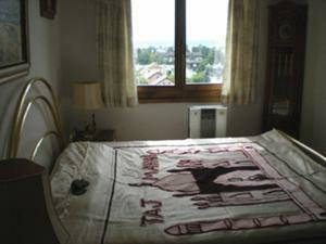 Room For Rent Nyon 92254