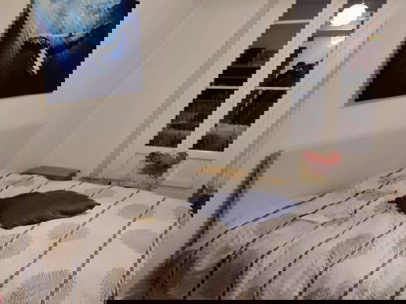 Gastfamilie Grenoble 533410-3