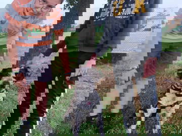 Quedarse En Casa Soucieu-En-Jarrest 241536-16