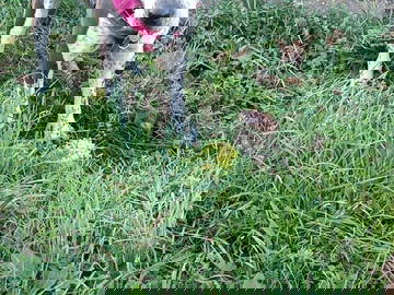 Quedarse En Casa Soucieu-En-Jarrest 241536-17