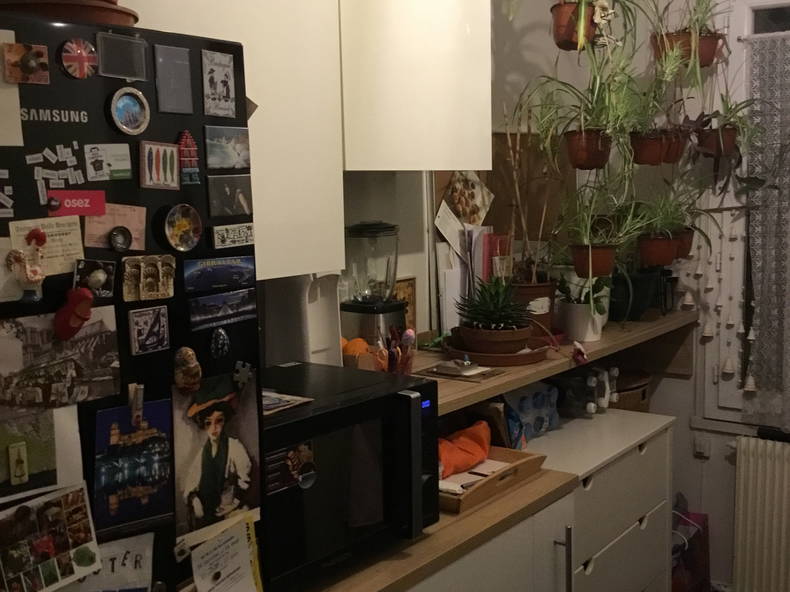 Chambre Chez L'habitant Lyon 1384-5