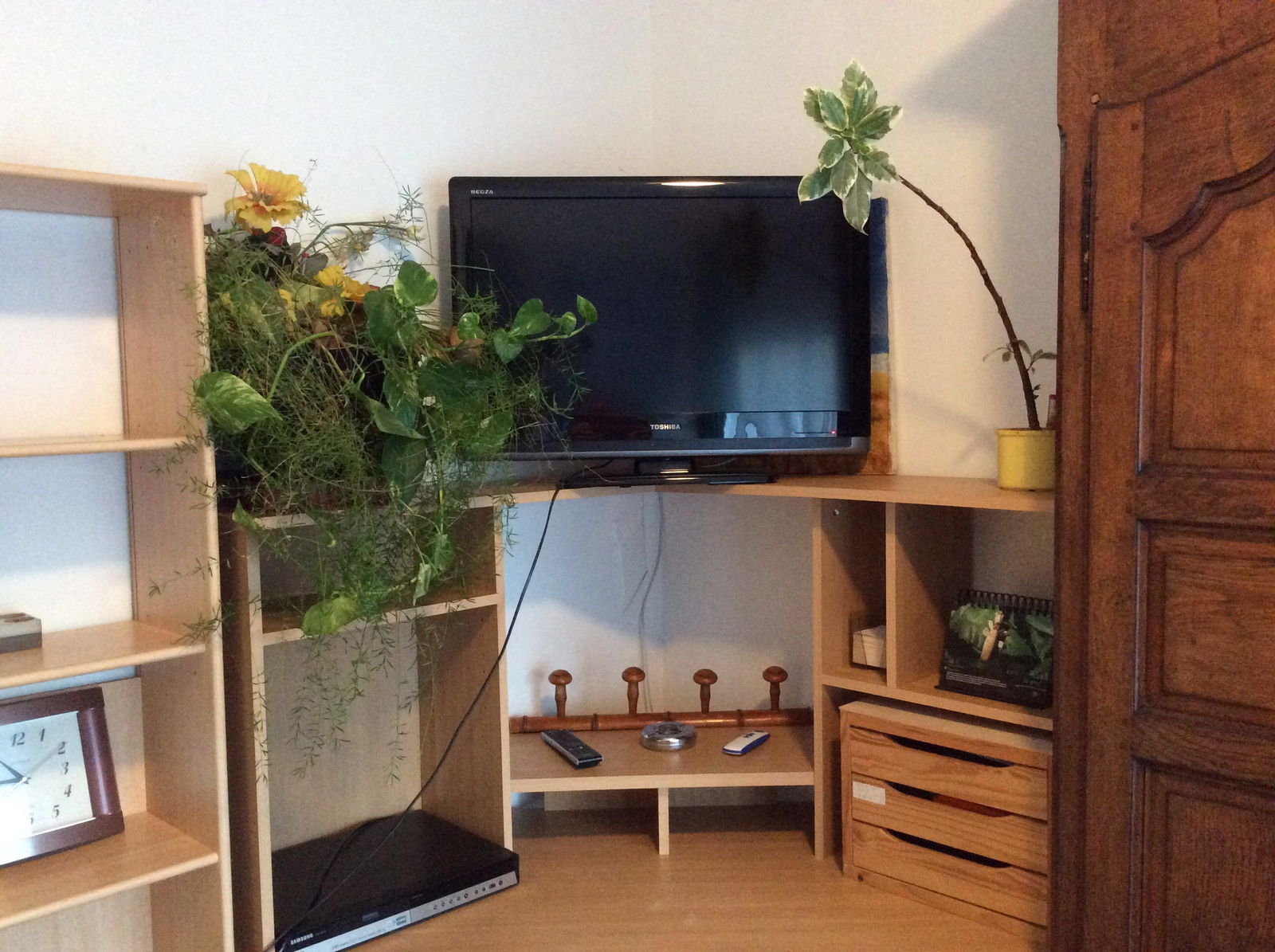 Chambre Chez L'habitant Chatenay-Malabry 17969