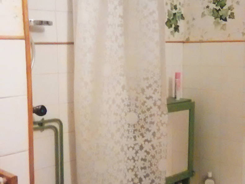 Gastfamilie Grenoble 31049-1