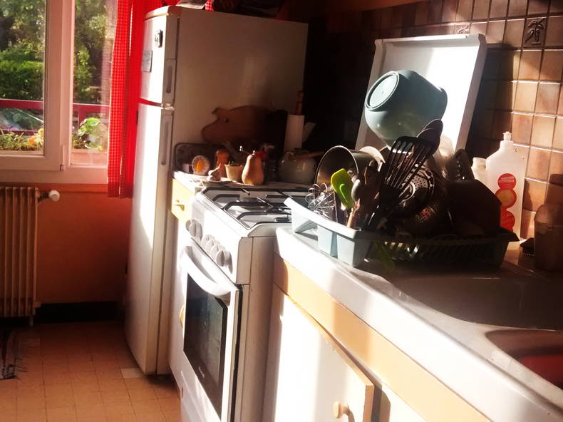 Gastfamilie Grenoble 31049-4