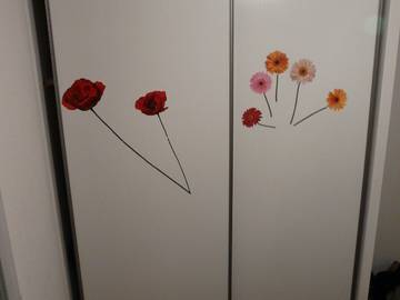 Shared Accommodation Toulouse 38136-1