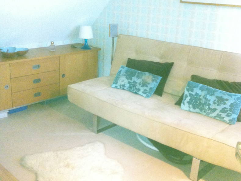 Homestay Maisons-Alfort 48368-2