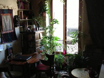 Room For Rent Paris 53439