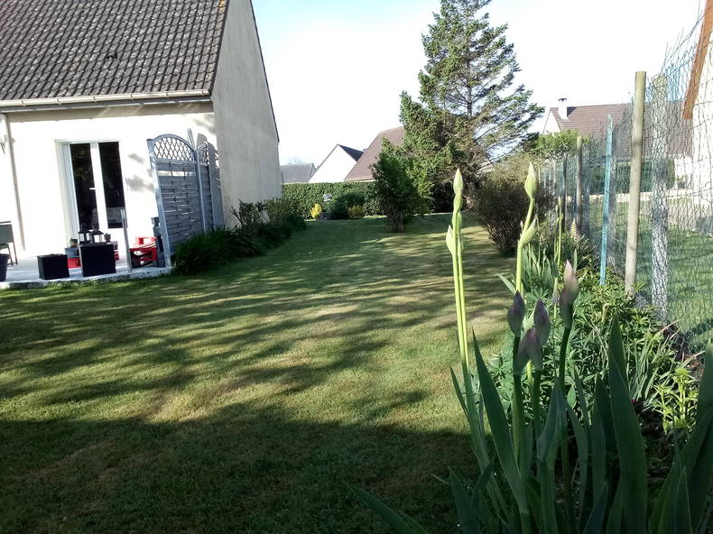 Famiglia Étalondes 64546-4