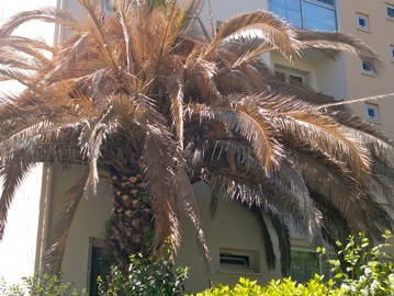 Zakwaterowanie U Rodziny Castelnau-le-Lez 70491-3