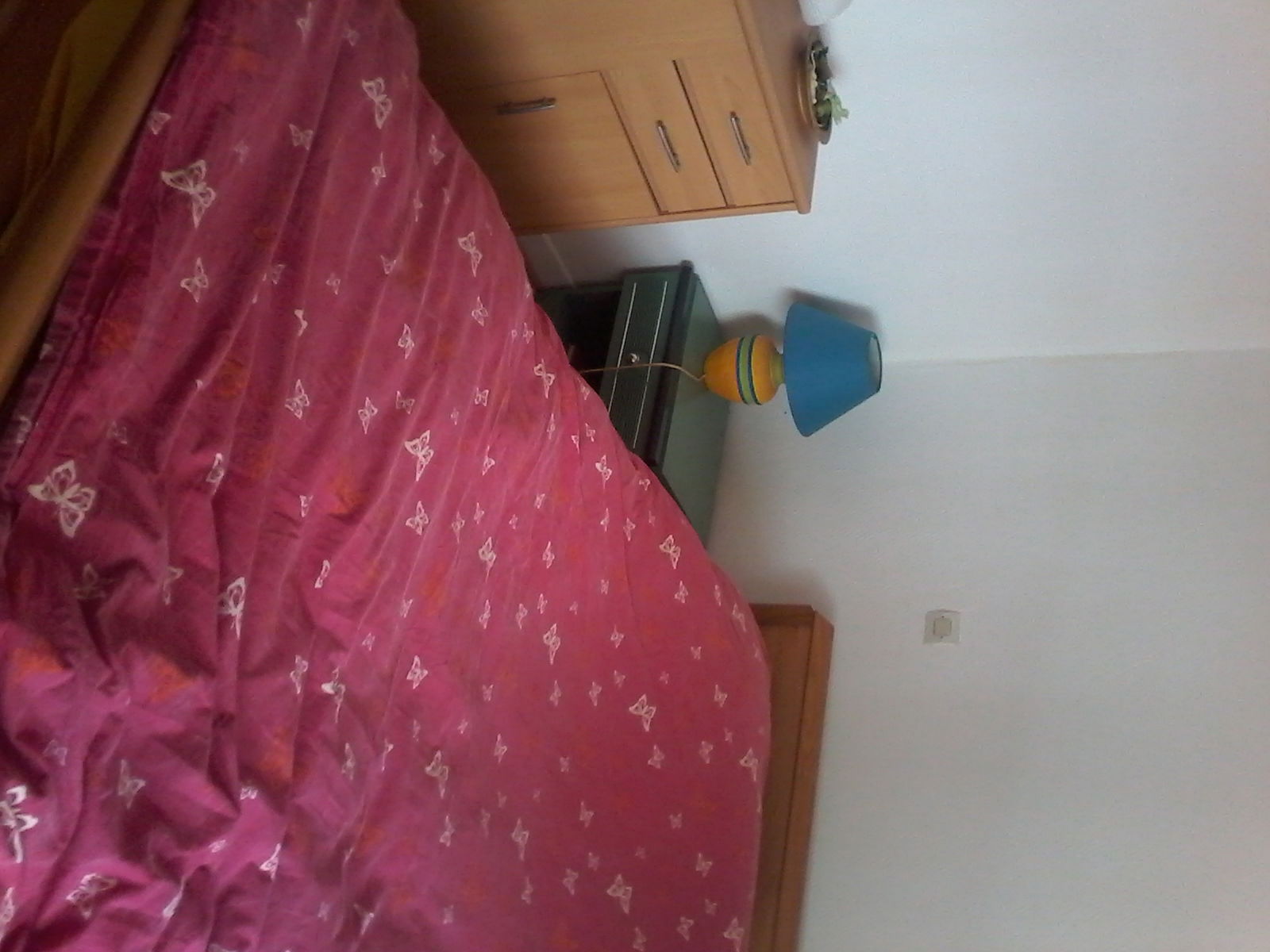 Chambre Chez L'habitant Ottersthal 89985