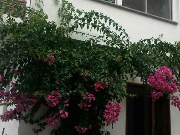 Homestay Sant Cugat del Vallès 110193-2