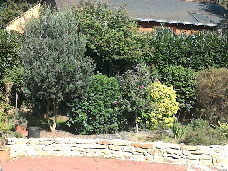 Gastfamilie Vigneux-de-Bretagne 115742-3