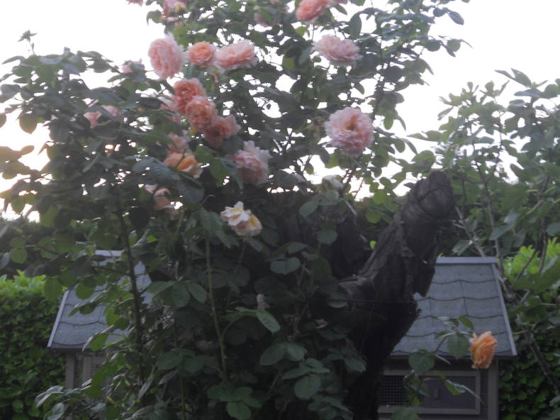 Tuisverblyf Bon-Encontre 130536-3