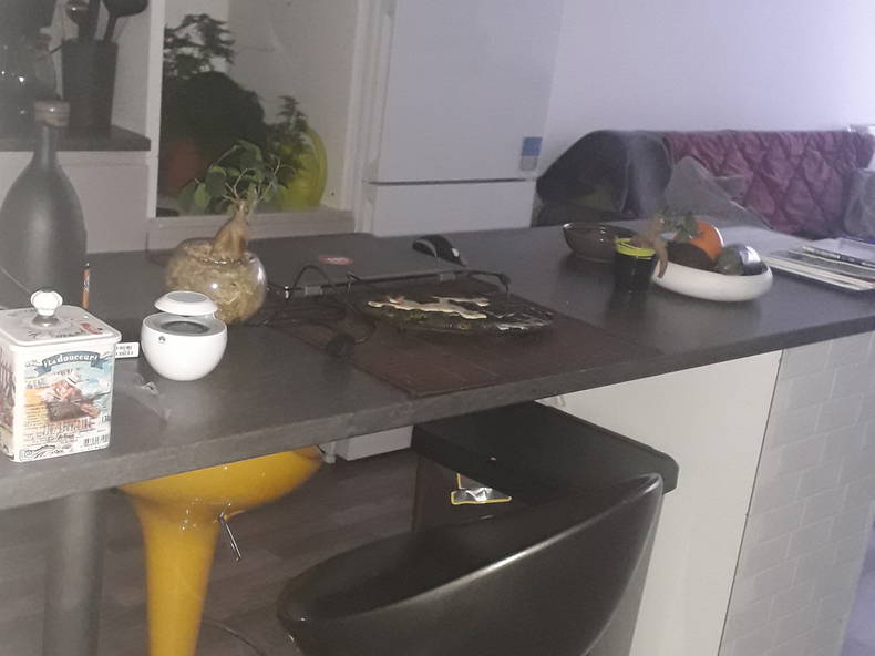 Homestay L'Île-Saint-Denis 232590-2