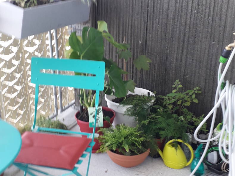 Homestay L'Île-Saint-Denis 232590-5