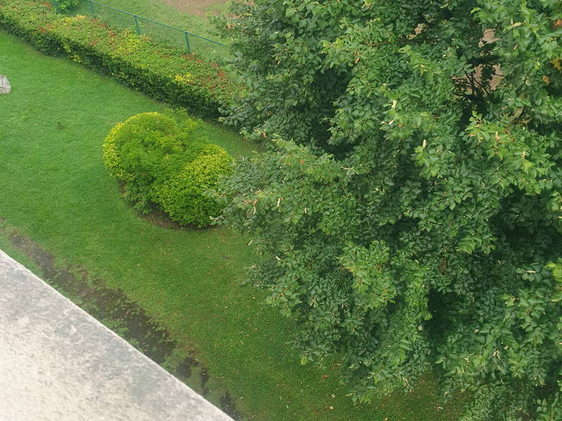 Gastfamilie Champigny-sur-Marne 406029-3