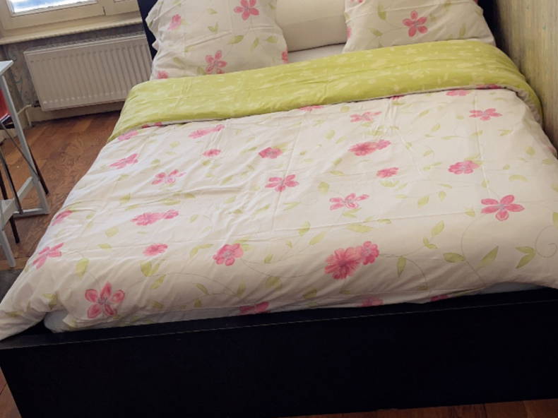 Gastfamilie Lyon 465523-4