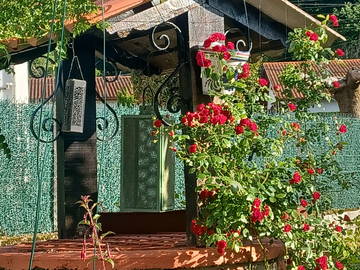 Gastfamilie Cambo-Les-Bains 533368
