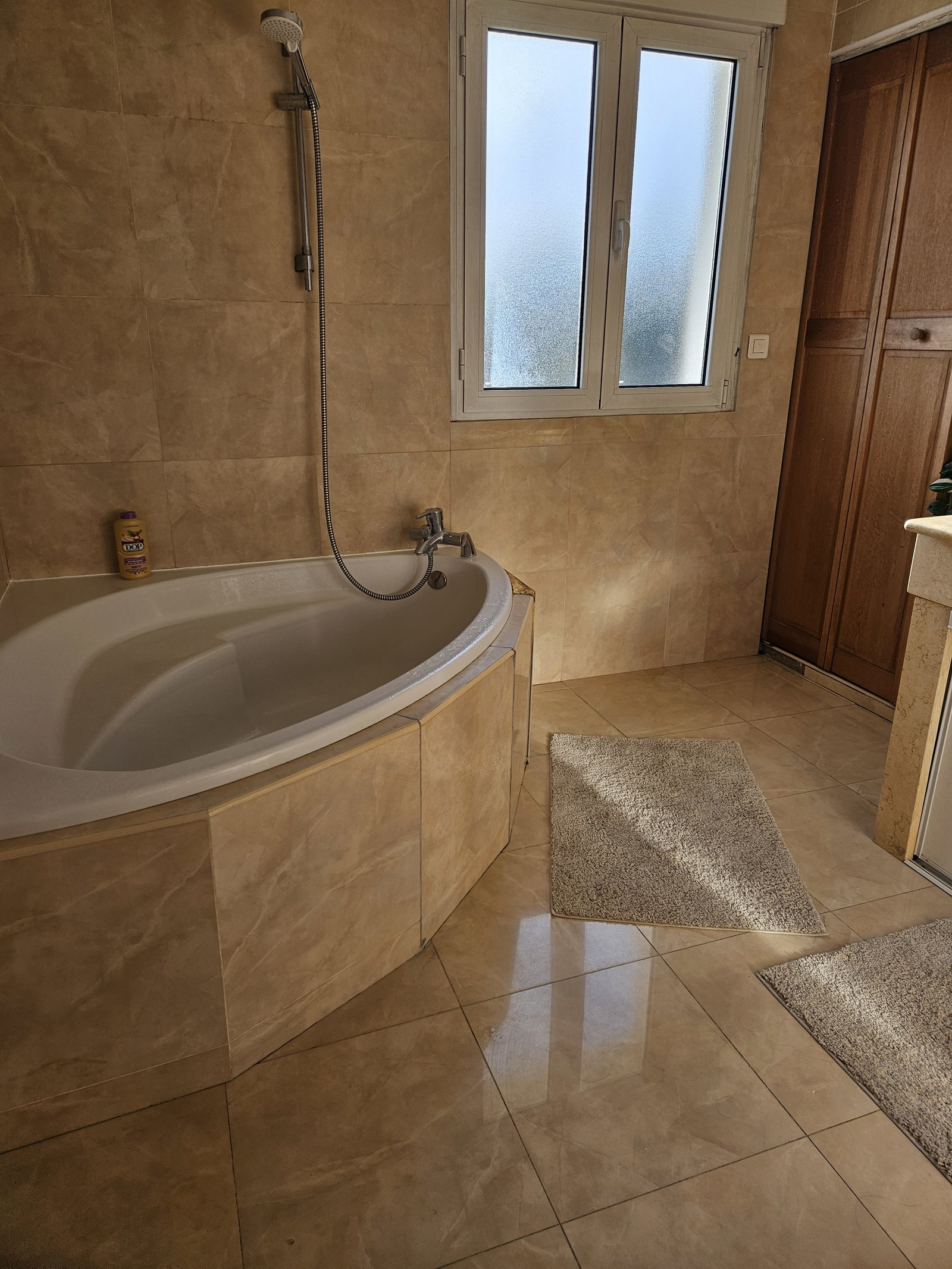 Chambre Chez L'habitant Olivet 651512