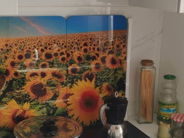 Chambre chez l'habitant à louer à Sainte-Foy-Lès-Lyon - photo 4 : autre pièce-4