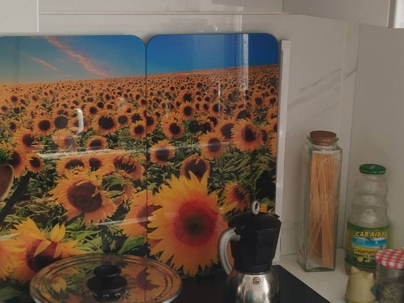 Chambre Chez L'habitant Sainte-Foy-lès-Lyon 349889-4