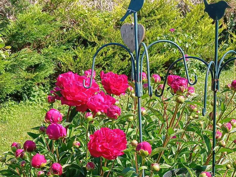 Quedarse En Casa Retonfey 604831-4