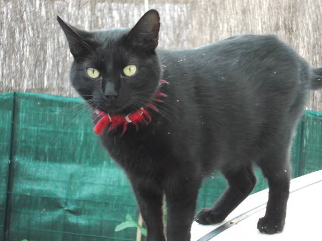 Toda La Casa Livron-sur-Drôme 45732-4