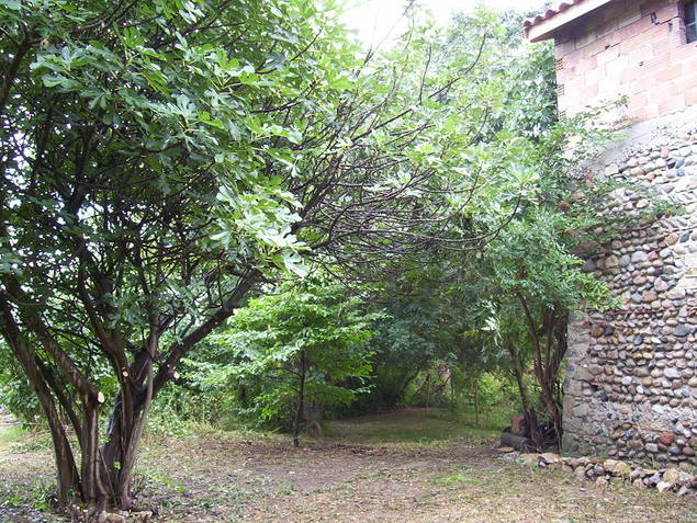 Quedarse En Casa Livron-sur-Drôme 35699-4