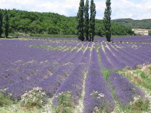 Quedarse En Casa Livron-sur-Drôme 35699-5