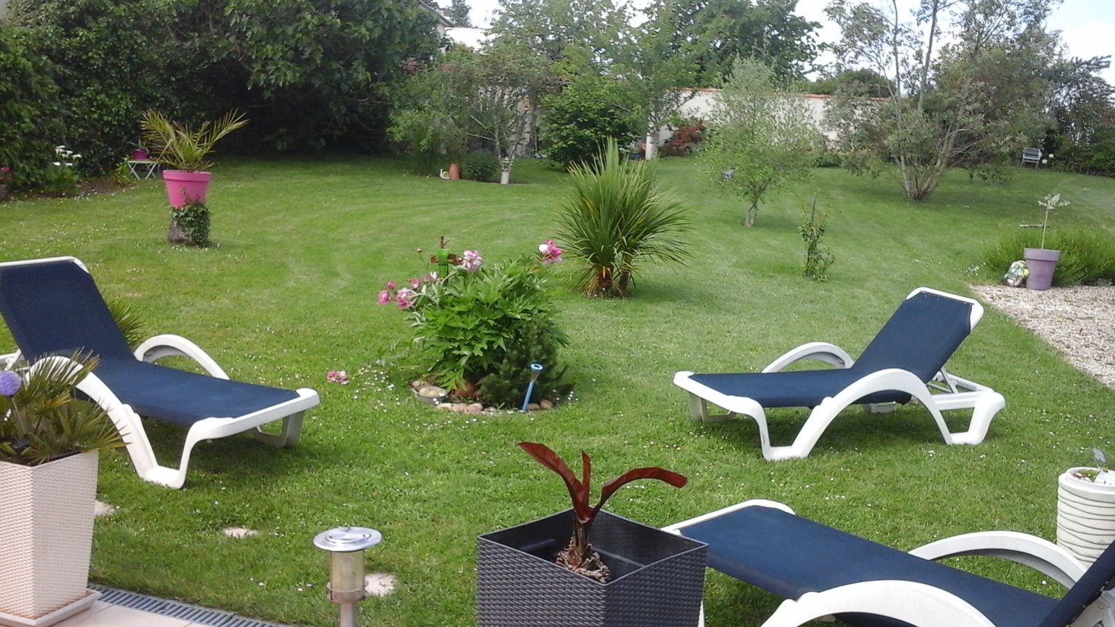 Gastgezin Saintes 98983