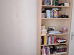 Gastfamilie Paris 593464