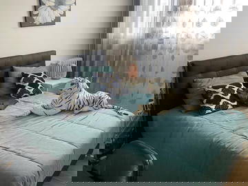 Gastfamilie Fresnes 594864-1